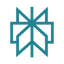 Perplexity Icon
