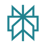 Perplexity Icon